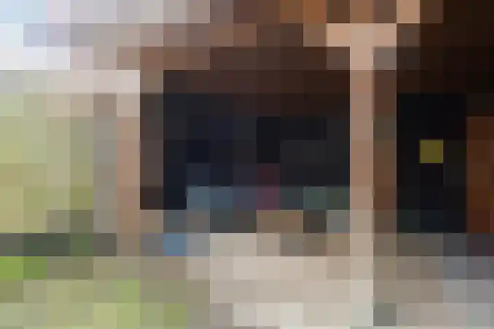 Verwoldelaan 28 Arnhem thumbnail 47