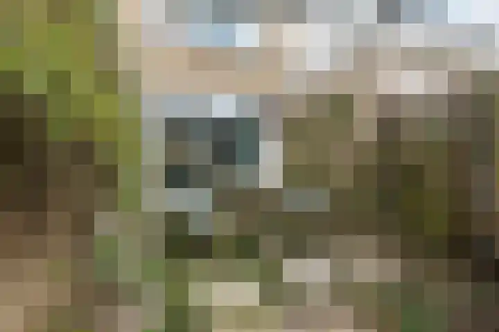Verwoldelaan 28 Arnhem thumbnail 50