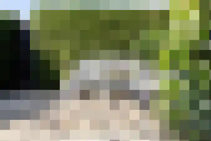 Verwoldelaan 38 Arnhem thumbnail 32