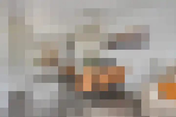Verwoldsebeek 4 Zwolle thumbnail 10