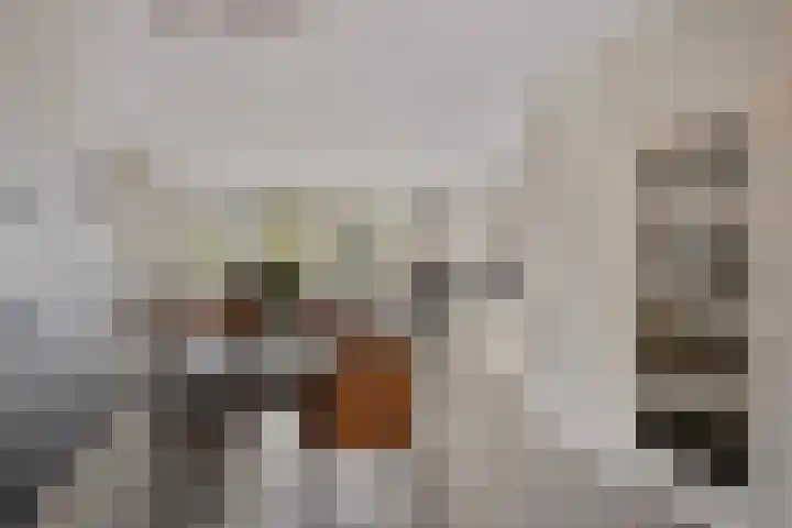 Verwoldsebeek 4 Zwolle thumbnail 11