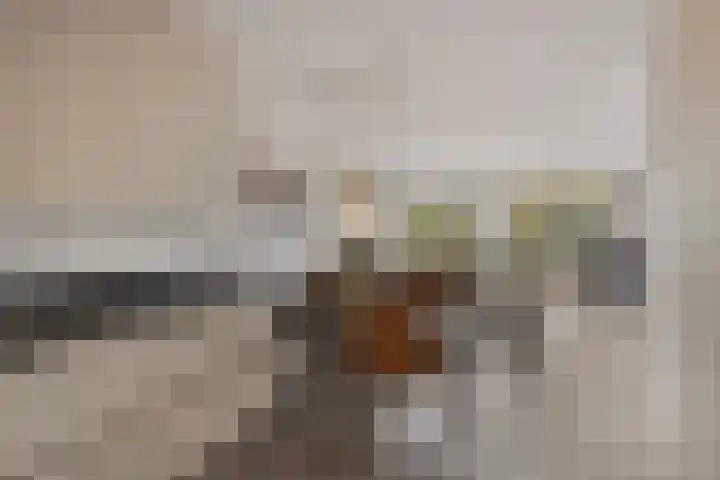 Verwoldsebeek 4 Zwolle thumbnail 12