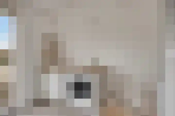 Verwoldsebeek 4 Zwolle thumbnail 24