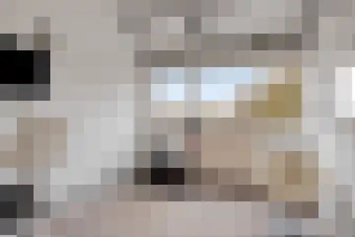 Verwoldsebeek 4 Zwolle thumbnail 26