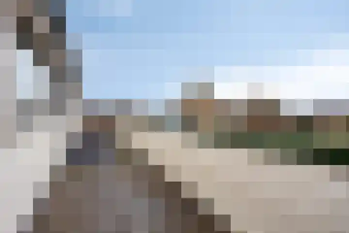 Verwoldsebeek 4 Zwolle thumbnail 28