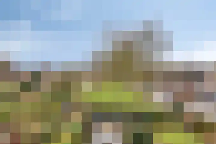 Verwoldsebeek 4 Zwolle thumbnail 29