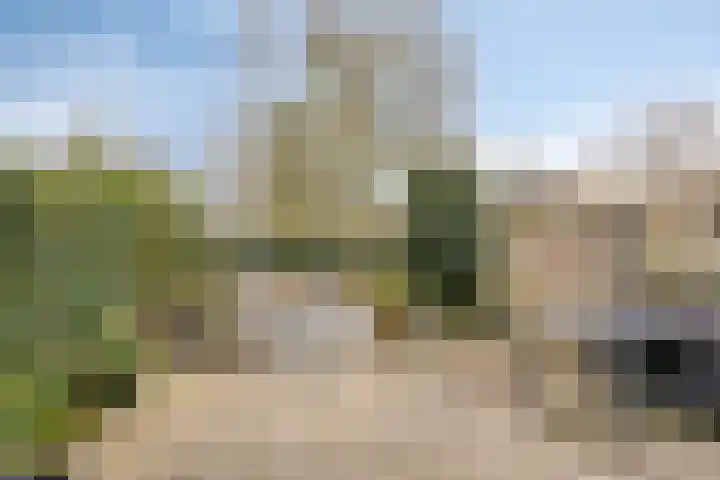 Verwoldsebeek 4 Zwolle thumbnail 30