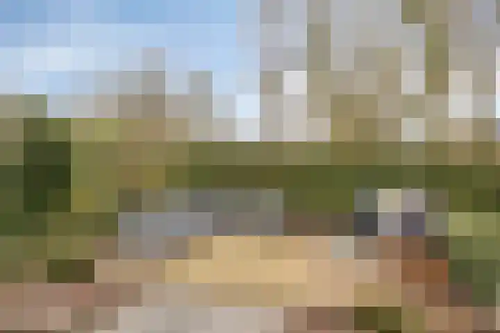 Verwoldsebeek 4 Zwolle thumbnail 32