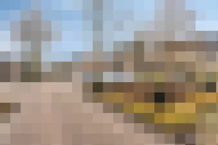 Verwoldsebeek 4 Zwolle thumbnail 37