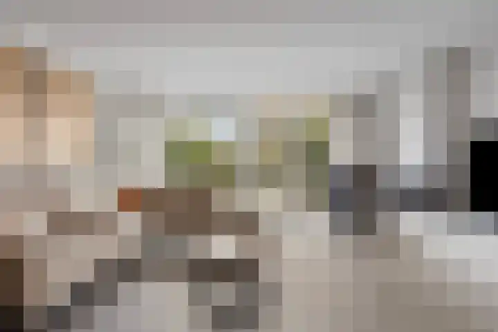 Verwoldsebeek 4 Zwolle thumbnail 4
