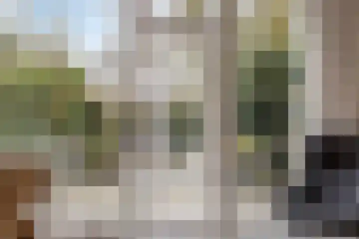 Verwoldsebeek 4 Zwolle thumbnail 5