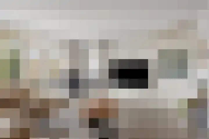 Verwoldsebeek 4 Zwolle thumbnail 6