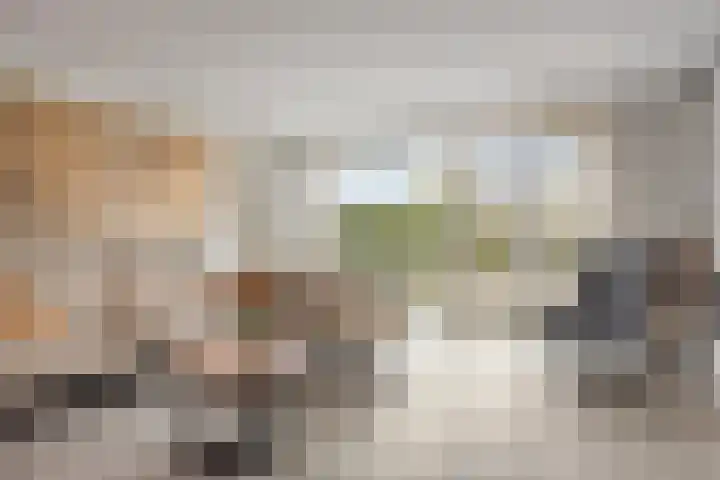 Verwoldsebeek 4 Zwolle thumbnail 8