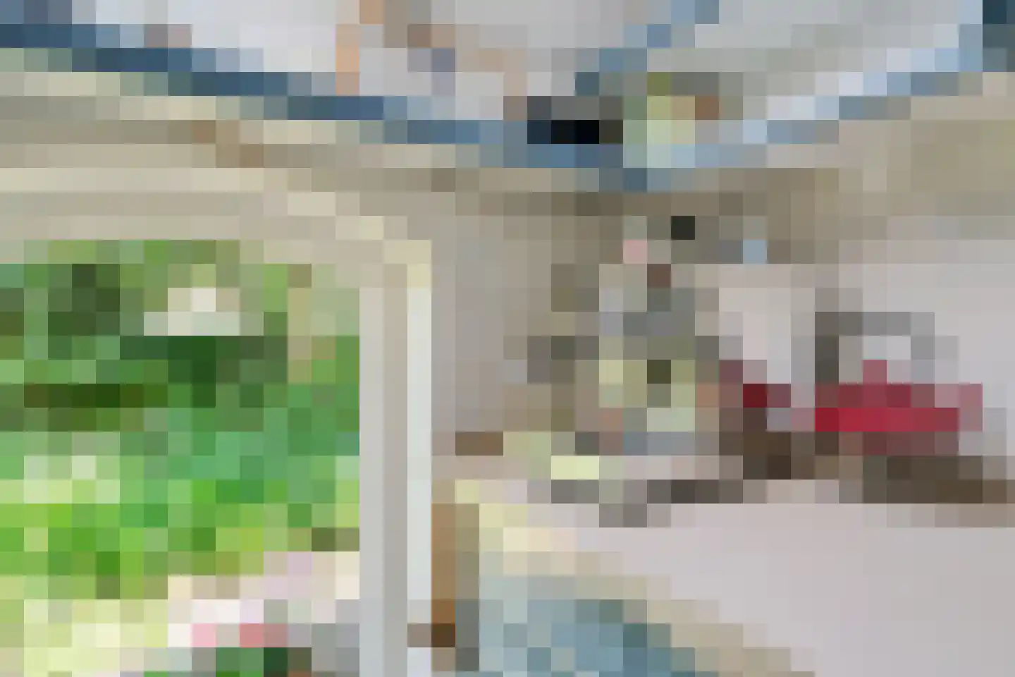 Verwoldseweg 7 Laren thumbnail 21