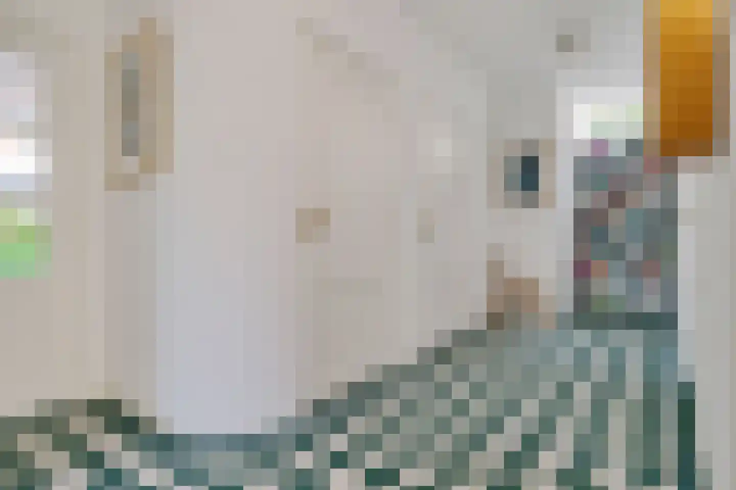 Verwoldseweg 7 Laren thumbnail 31