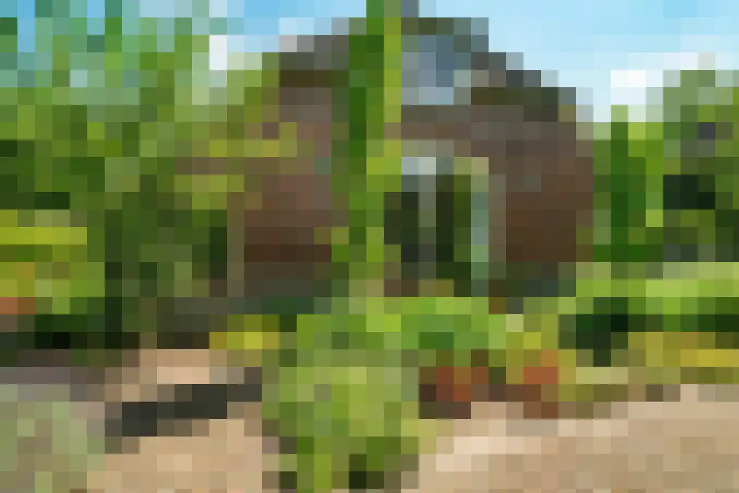 Verwoldseweg 7 Laren thumbnail 4