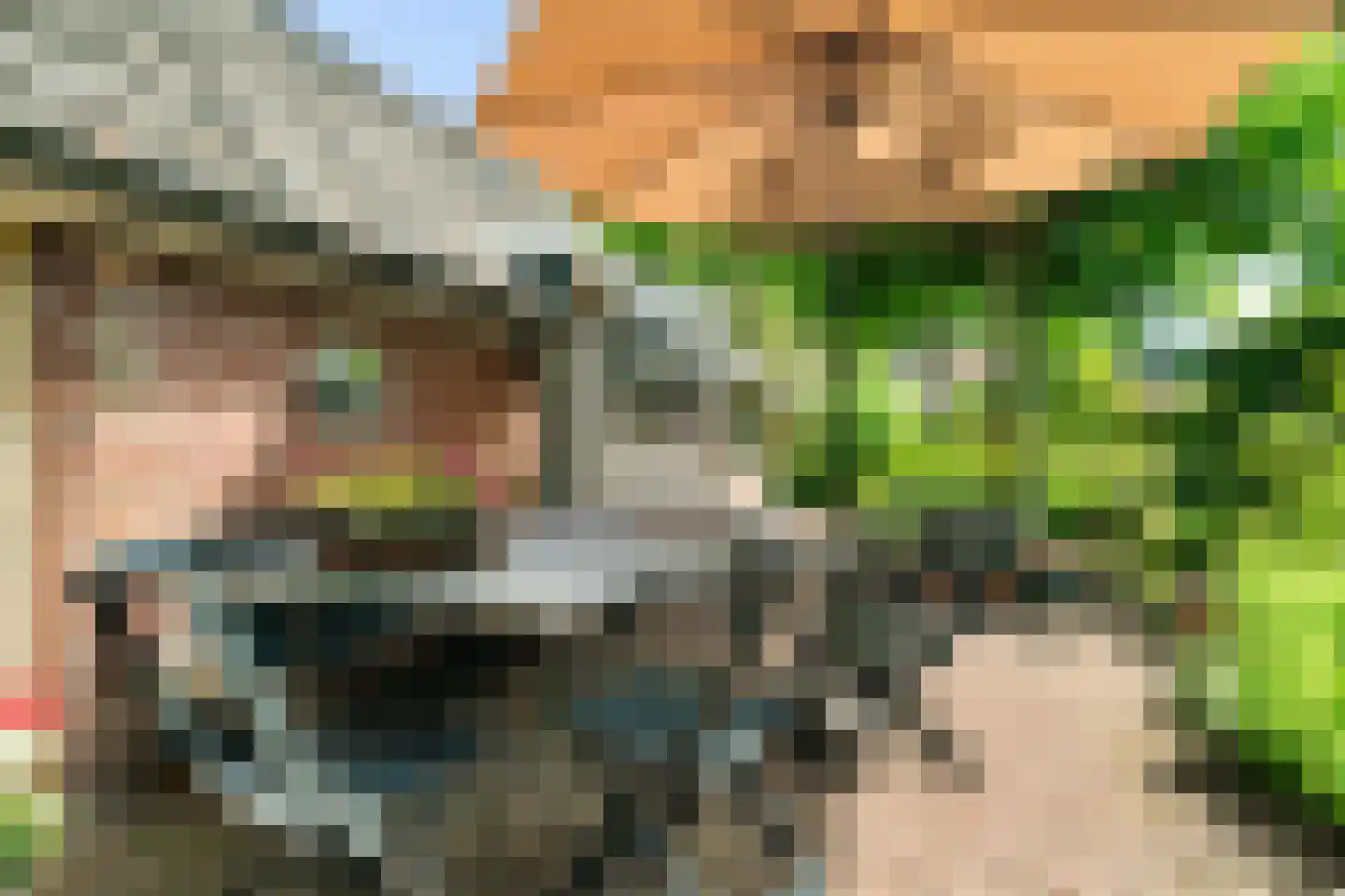 Verwoldseweg 7 Laren thumbnail 43