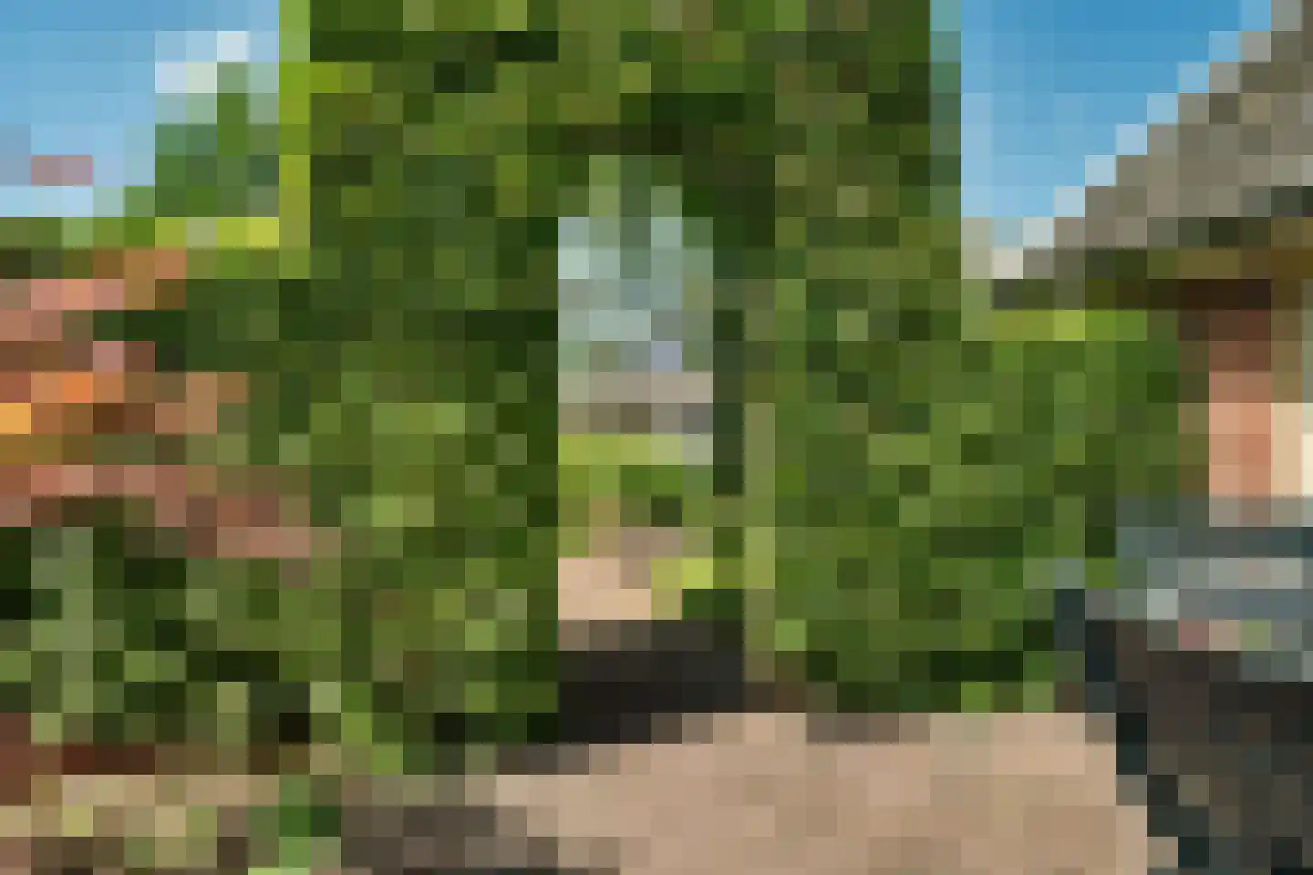 Verwoldseweg 7 Laren thumbnail 44