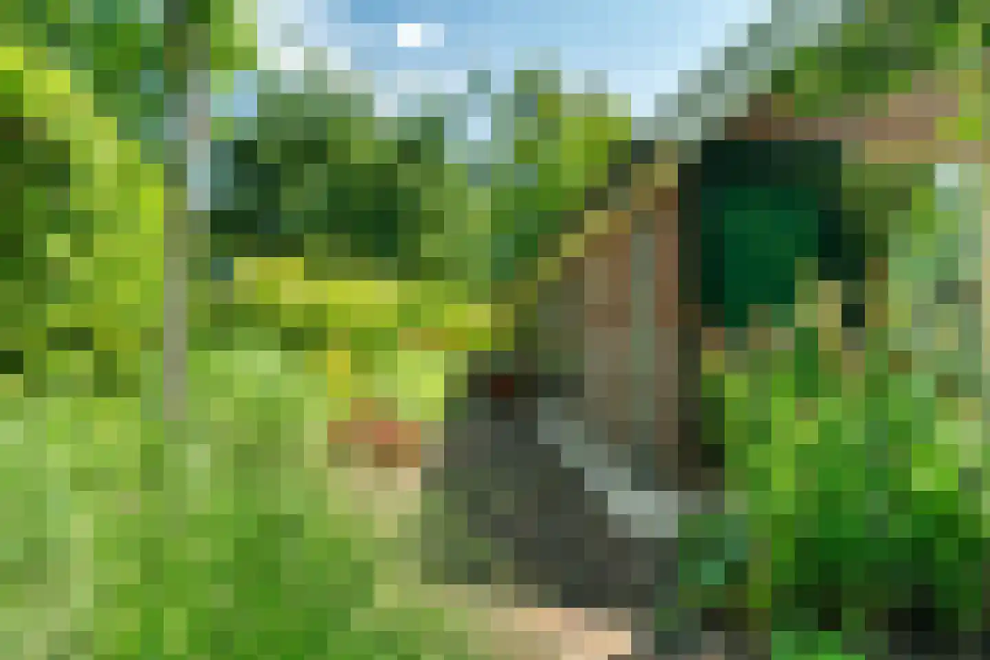 Verwoldseweg 7 Laren thumbnail 46