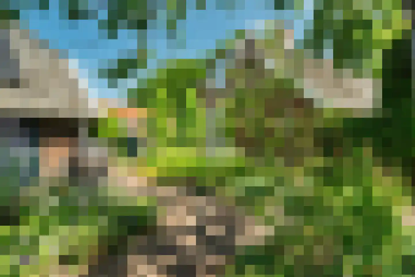 Verwoldseweg 7 Laren thumbnail 5