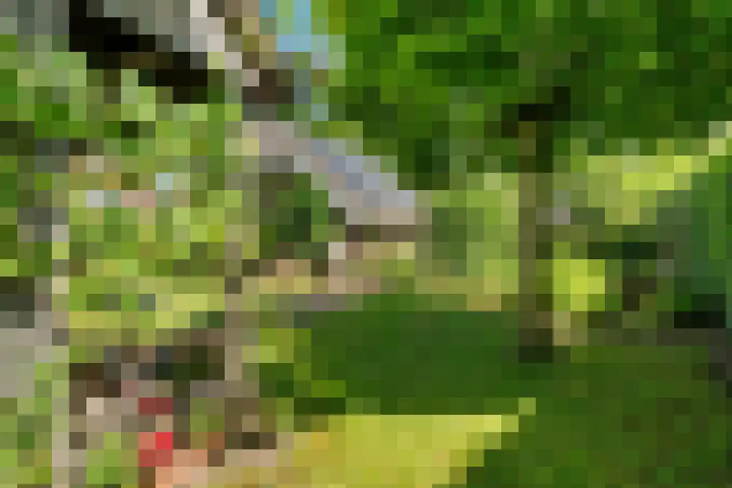 Verwoldseweg 7 Laren thumbnail 50