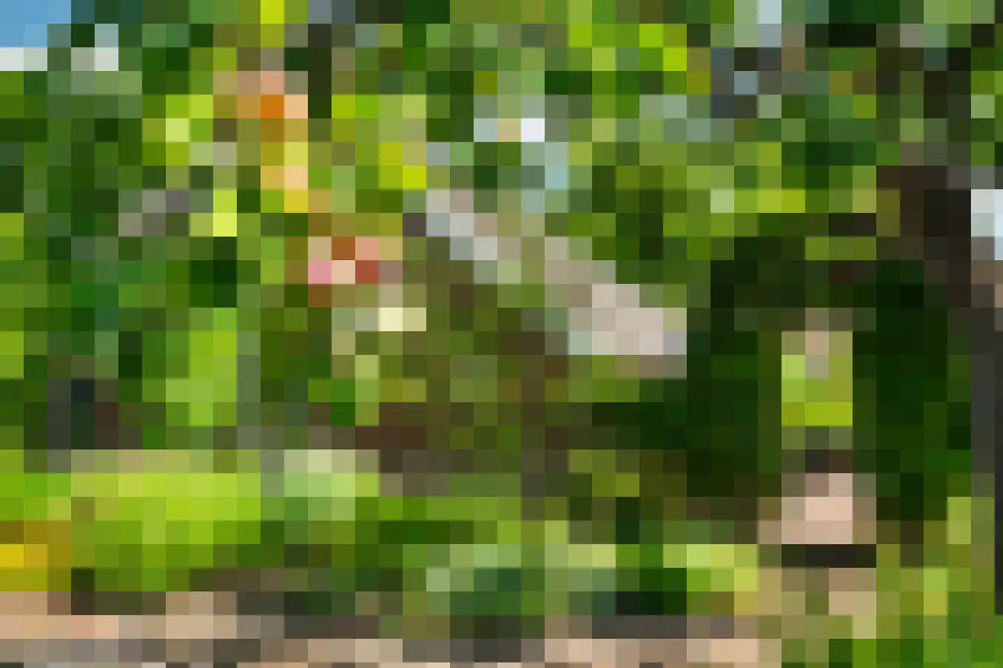 Verwoldseweg 7 Laren thumbnail 52