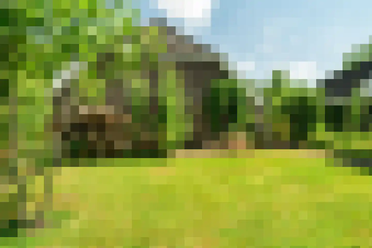 Verwoldseweg 7 Laren thumbnail 6