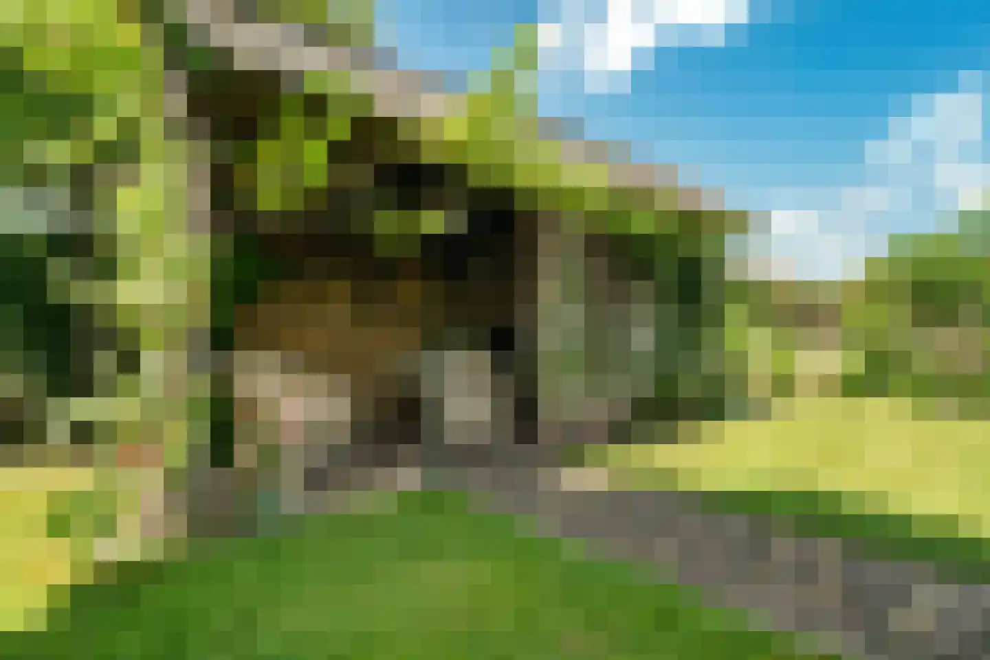 Verwoldseweg 7 Laren thumbnail 7
