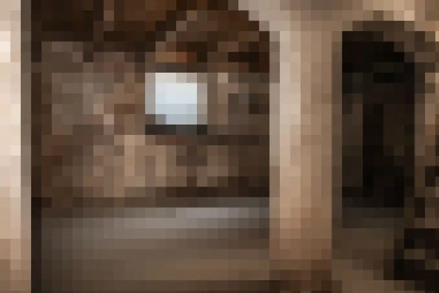 Verwulft 1 Haarlem thumbnail 16