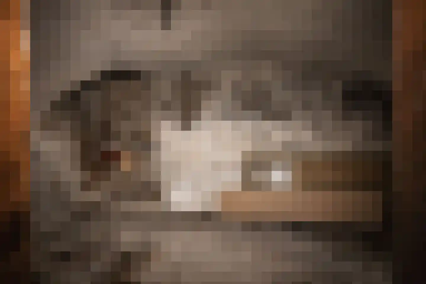 Verwulft 1 Haarlem thumbnail 18