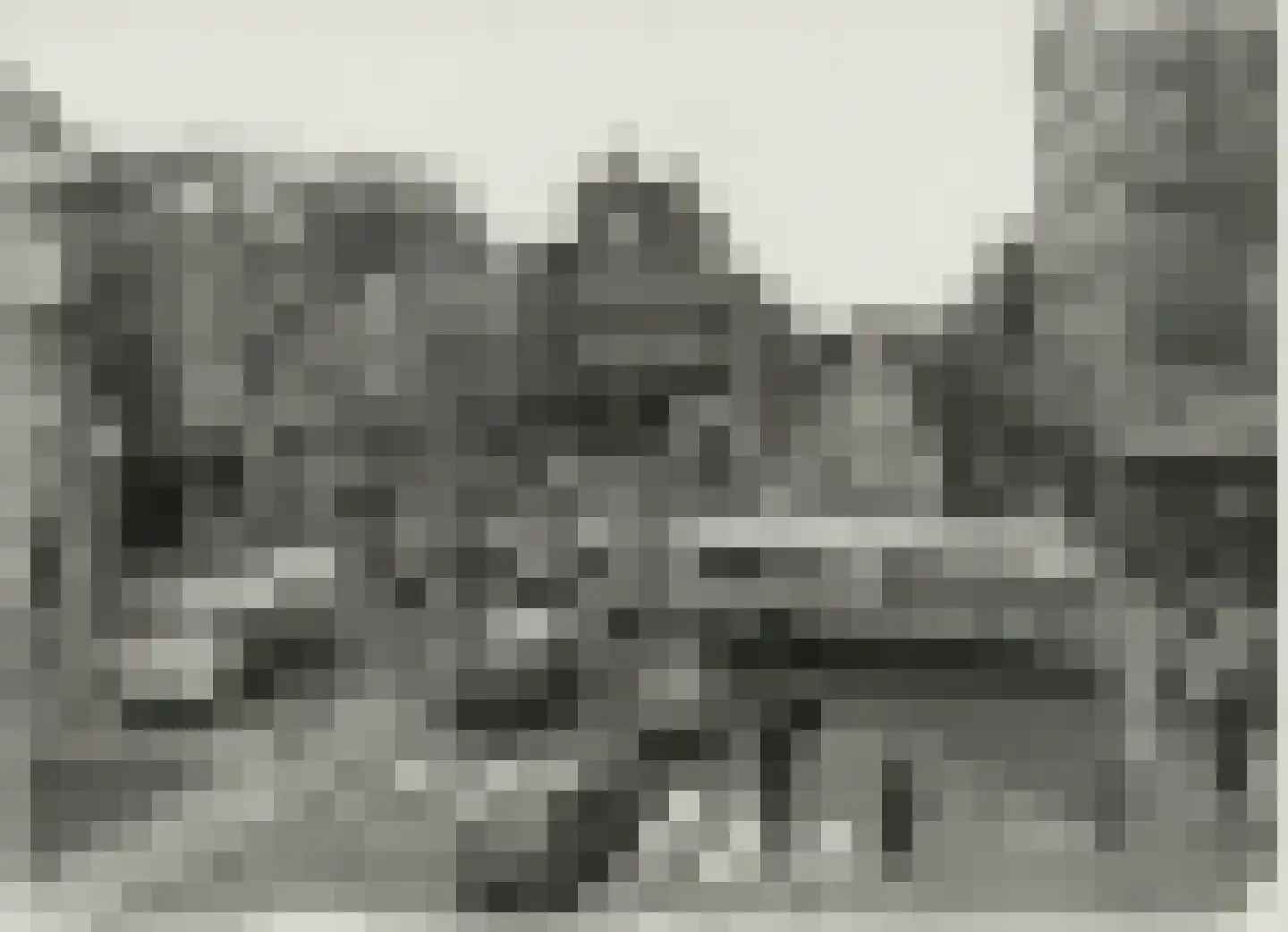 Verwulft 1 Haarlem thumbnail 30