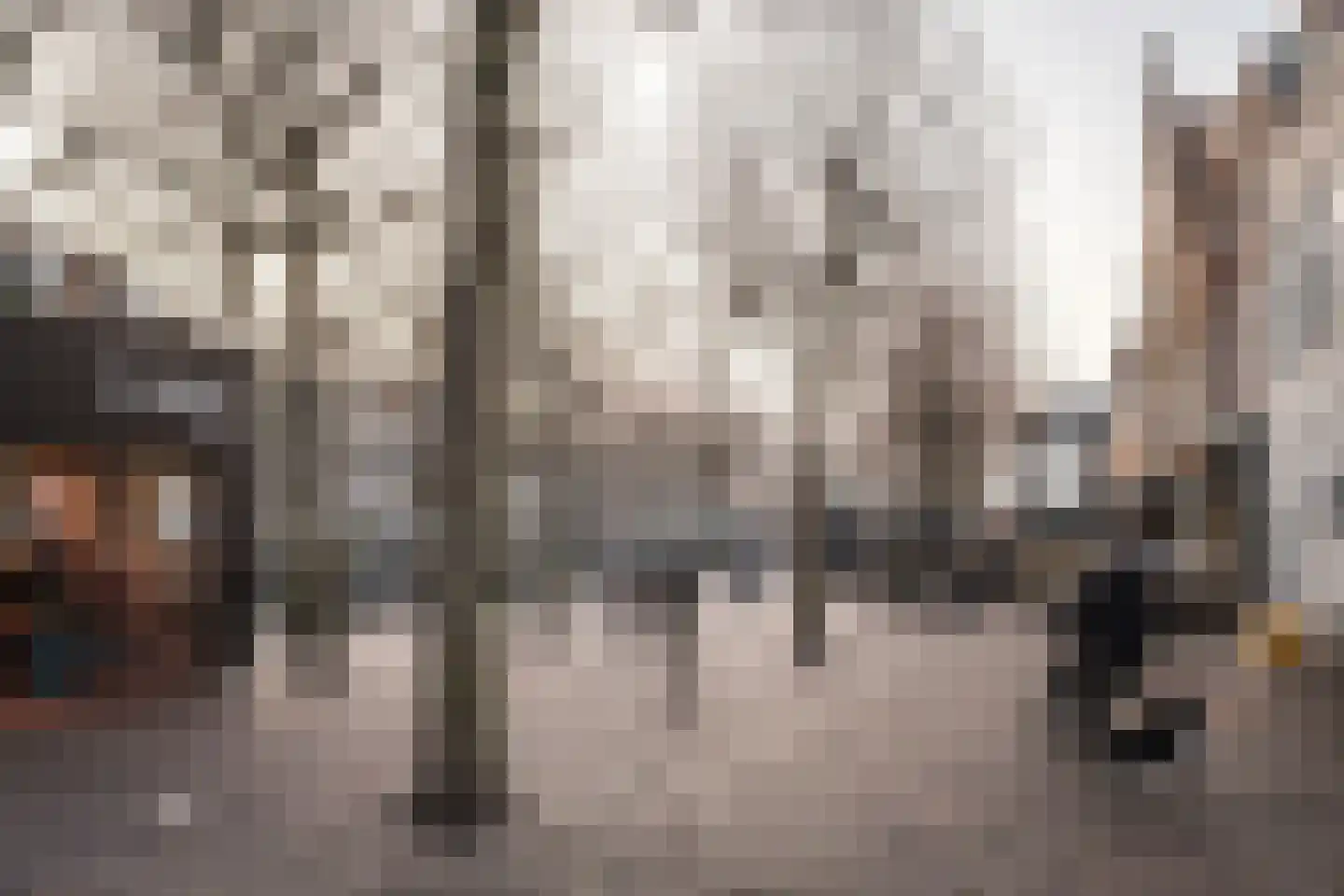 Verwulft 1 Haarlem thumbnail 49