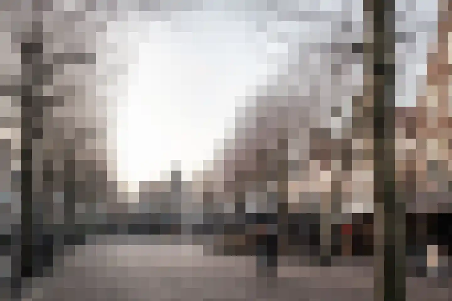 Verwulft 1 Haarlem thumbnail 50