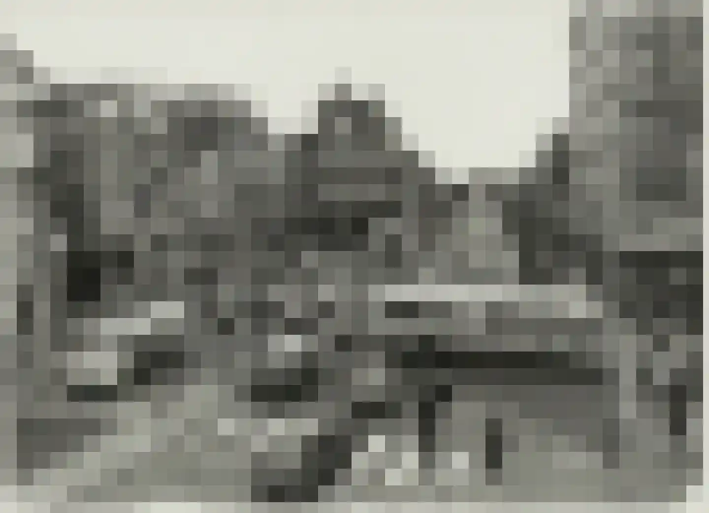 Verwulft 1 Haarlem thumbnail 56
