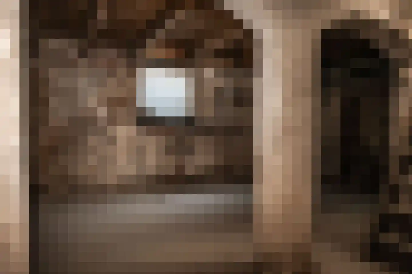 Verwulft 1 Haarlem thumbnail 7
