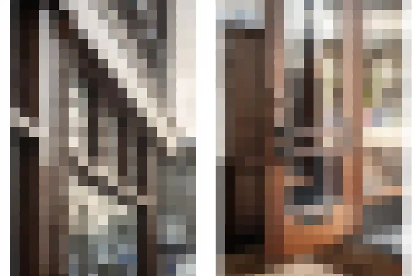 Verwulft 1 Haarlem thumbnail 9