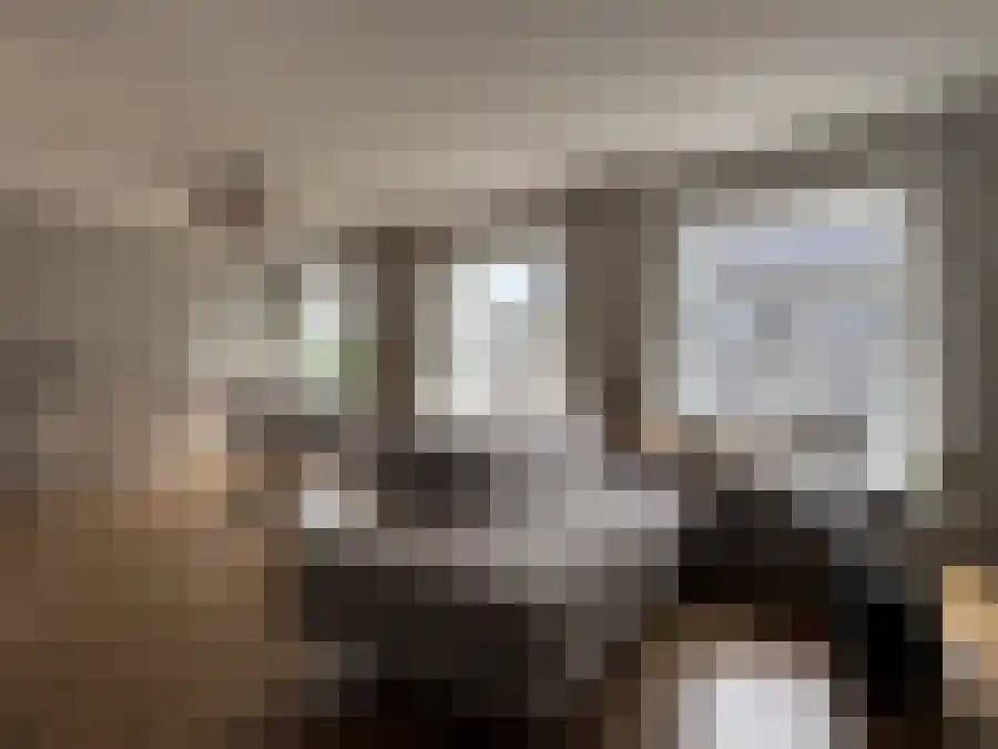 Verwulft 9 Haarlem thumbnail 4