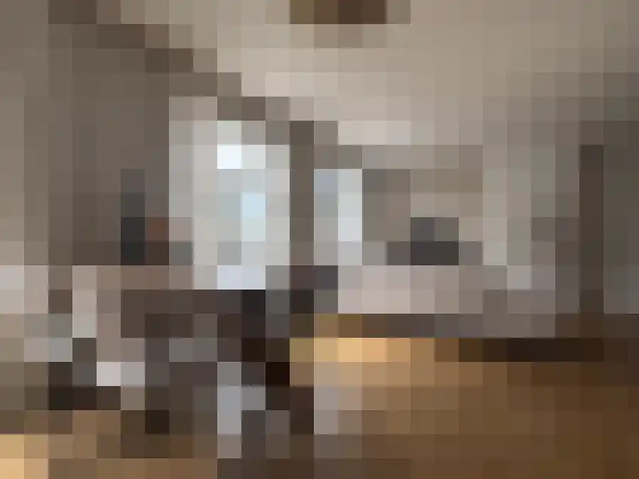Verwulft 9 Haarlem thumbnail 5