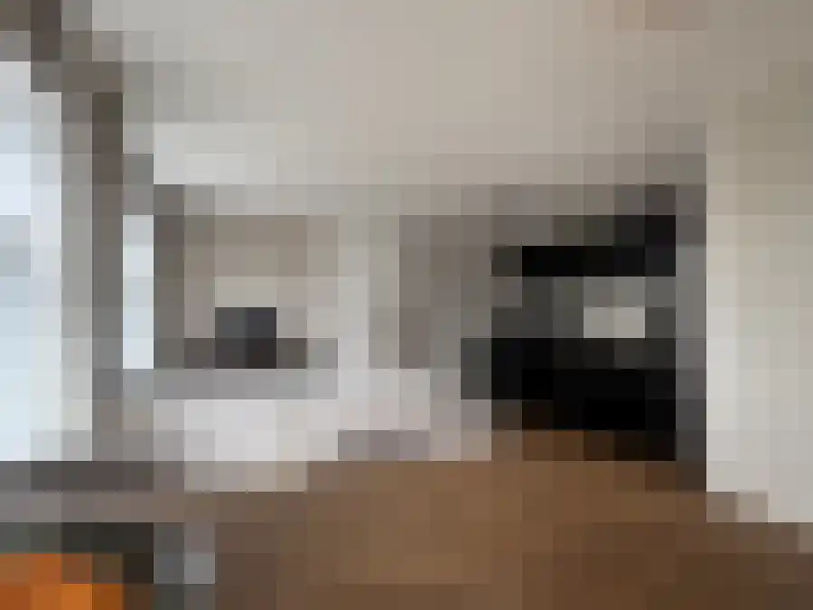 Verwulft 9 Haarlem thumbnail 6