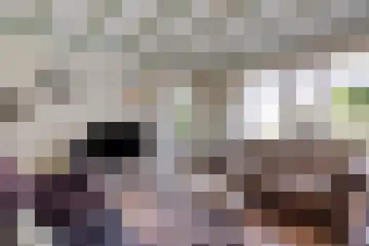 Verzet 17 Zelhem thumbnail 10