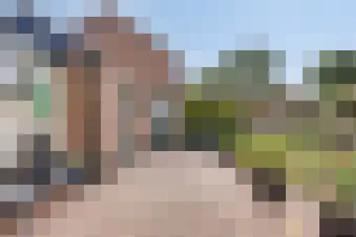 Verzet 17 Zelhem thumbnail 28