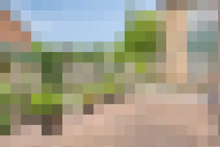 Verzet 17 Zelhem thumbnail 29