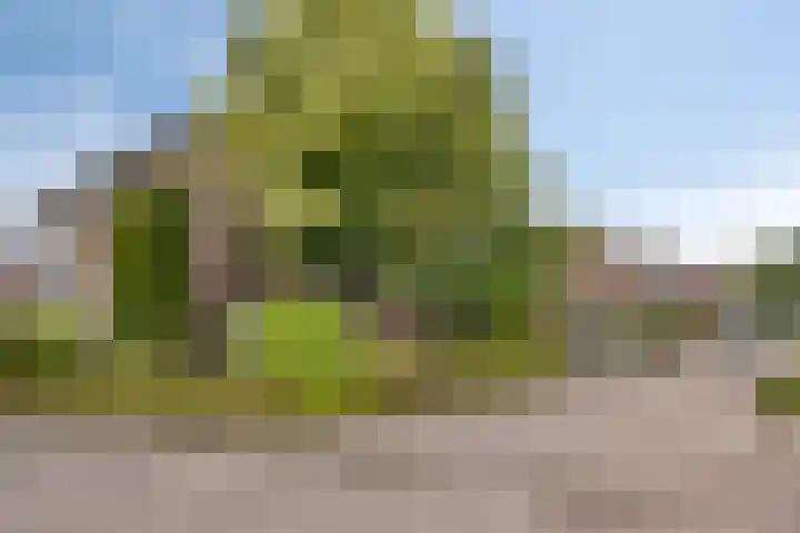 Verzet 17 Zelhem thumbnail 4