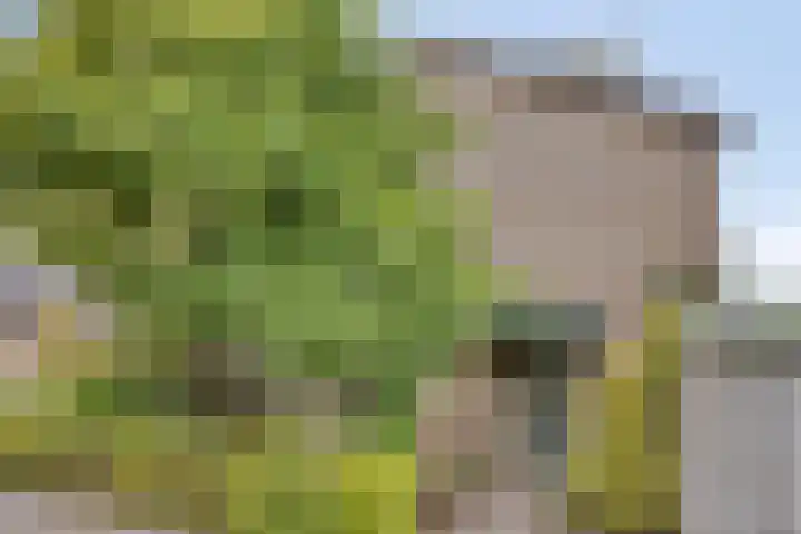 Verzet 17 Zelhem thumbnail 5