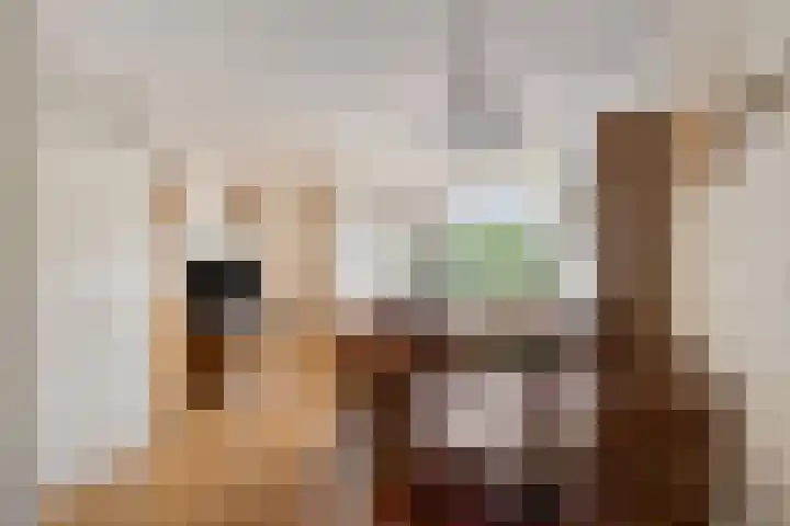 Verzet 7 Zelhem thumbnail 8