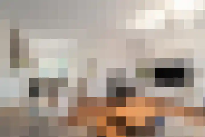 Verzetlaan 146 Schagen thumbnail 10