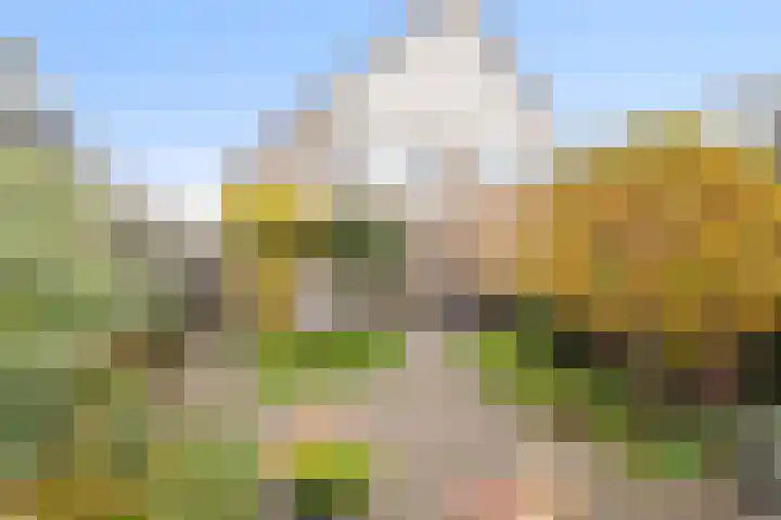 Verzetlaan 146 Schagen thumbnail 17