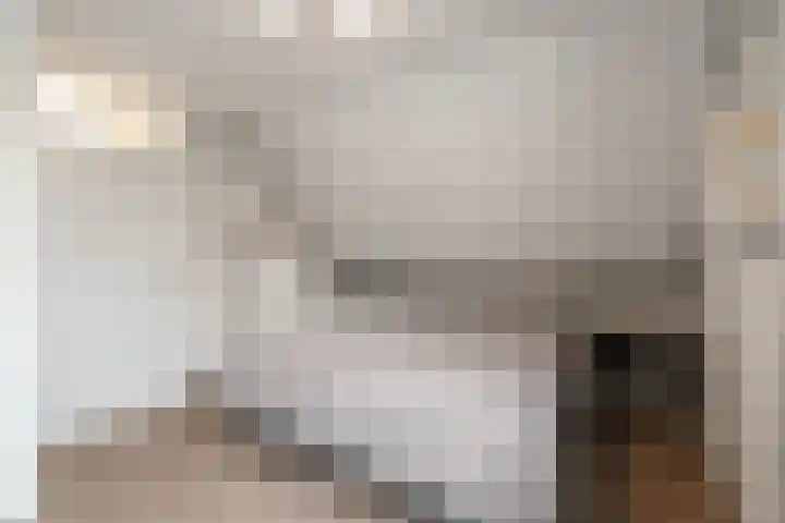 Verzetlaan 146 Schagen thumbnail 22