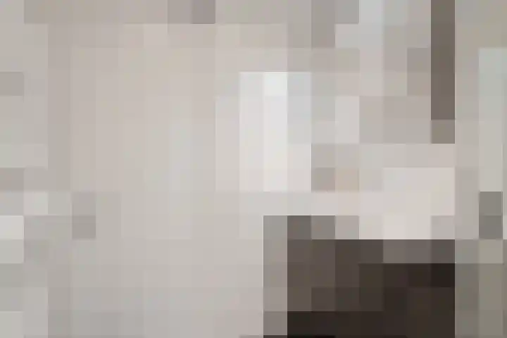 Verzetlaan 146 Schagen thumbnail 23