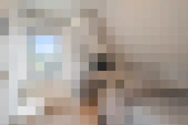 Verzetlaan 146 Schagen thumbnail 24
